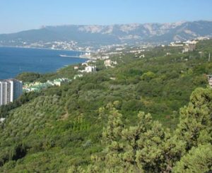 Такси в Крыму
